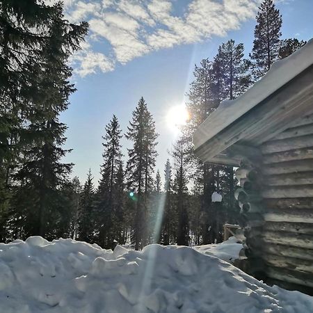 Mantytupa LodgeSyöte エクステリア 写真